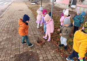 Posumowanie jesienne w Jeżykach