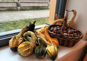 Posumowanie jesienne w Jeżykach