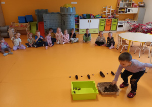 Posumowanie jesienne w Jeżykach