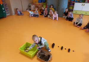 Posumowanie jesienne w Jeżykach