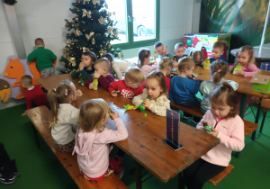 W Krainie Świętego Mikołaja w Kołacinku