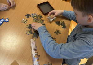 Kiedy na Ziemi mieszkały dinozaury?