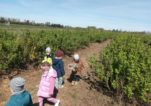 Międzynarodowy Dzień Ziemi