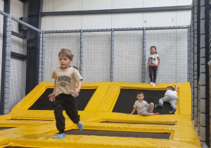 Trampoliny