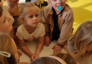Mroźna kraina
