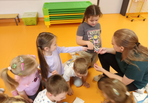 Pielęgniarka