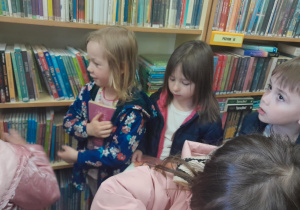 biblioteka