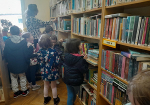 biblioteka