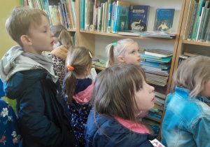 biblioteka