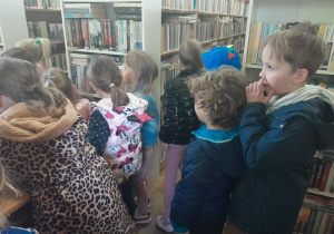 biblioteka