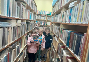 biblioteka