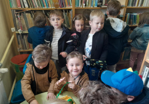 biblioteka