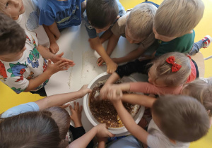 Owocowy tydzień w Tygryskach