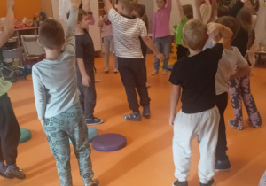 Sówki pomarańczowe